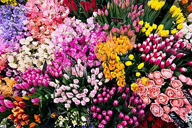 《李浦西医生：朗姆酒与死亡版》Steam页面上线 暂不支持中文